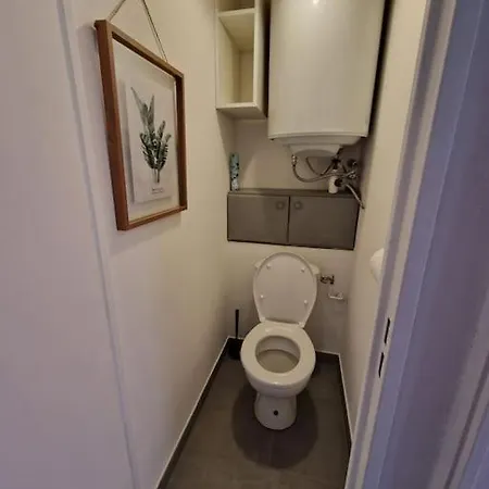 Rez-de-jardin Sous Pins Et *